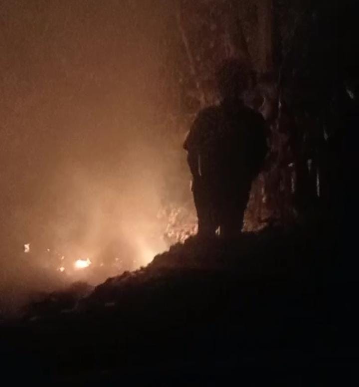 Gegara Bakar Sampah, Lahan Pohon Terbakar di Ciluar Bogor