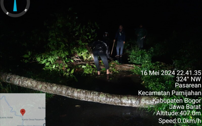 Curah Hujan Tinggi, Dua Pohon di Desa Pasarean Pamijahan Tumbang