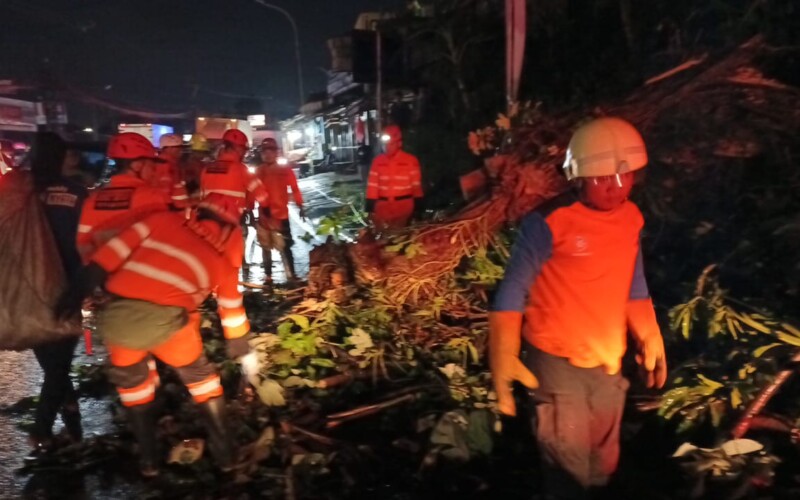 Pohon Tumbang di Jalan KS Tubun, Pemotor Tewas Tertimpa