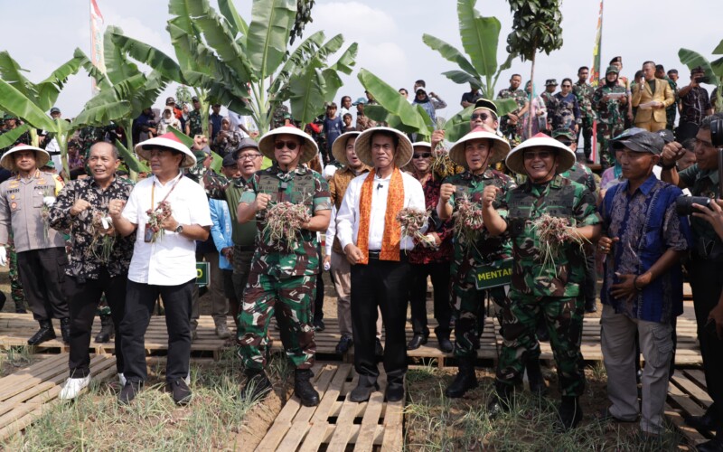 Kementerian Pertanian Bersinergi Dengan TNI AD Gelar Gebrakan Panen Raya Bawang Merah, Tekan Inflasi di Kabupaten Bekasi