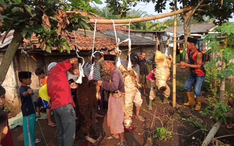 Saeful seorang Penjagal Asal Rumpin Ngaku Hanya 30 Menit Menyembelih Hewan Kurban, Ini Tips