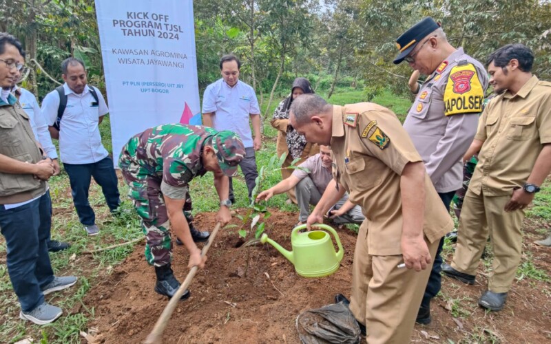 Dukung Kemajuan UMKM, PLN Peduli Kembangkan Kawasan Agromina Wisata Jayawangi