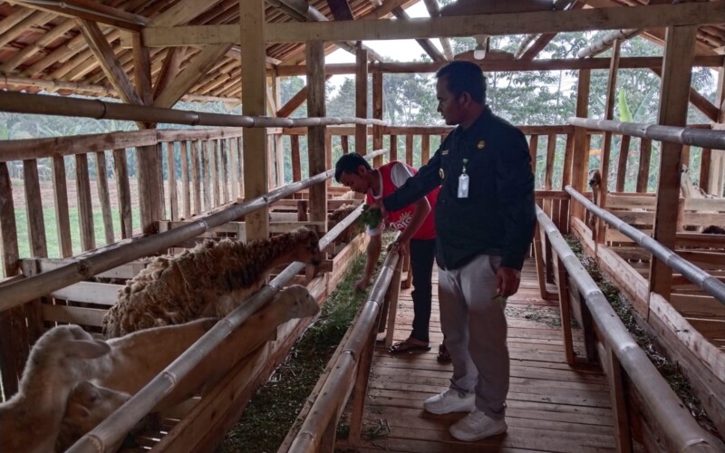 Pemdes Cibitung Wetan Programkan Ketahanan Pangan dengan Libatkan Pemuda Petani Transfarmer