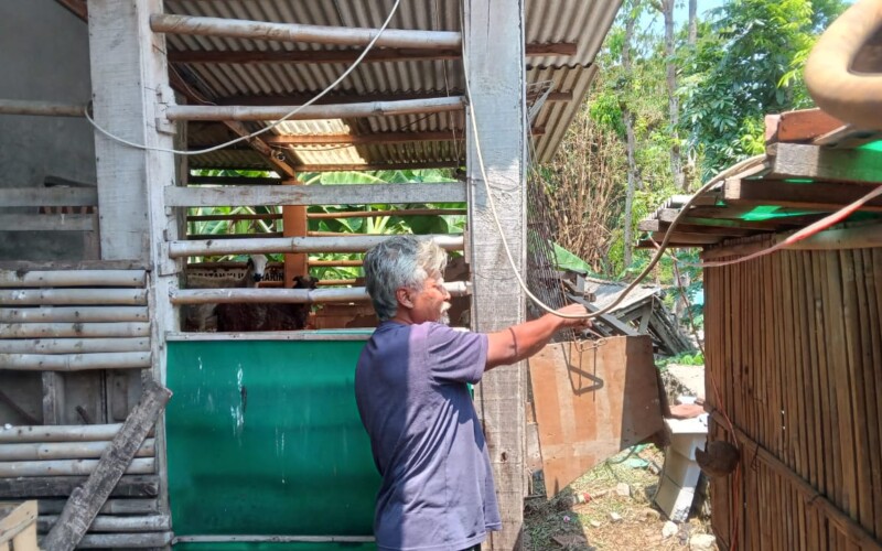 Maling Ternak Berkeliaran di Parung Panjang