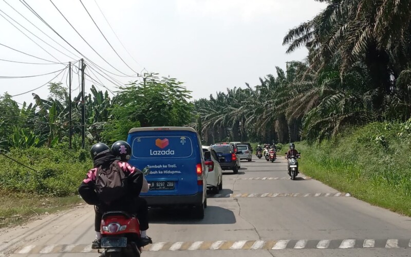 20 Polisi Tidur di Jalan Raya Puspitek Bikin Geram Pengguna jalan