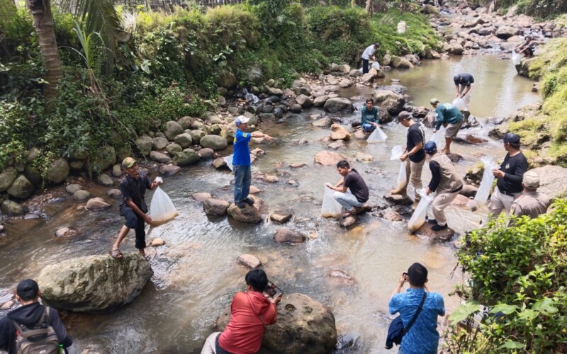 Pemdes Desa Purwabakti Tebar 5000 Ikan ke Sungai Ciparabakti