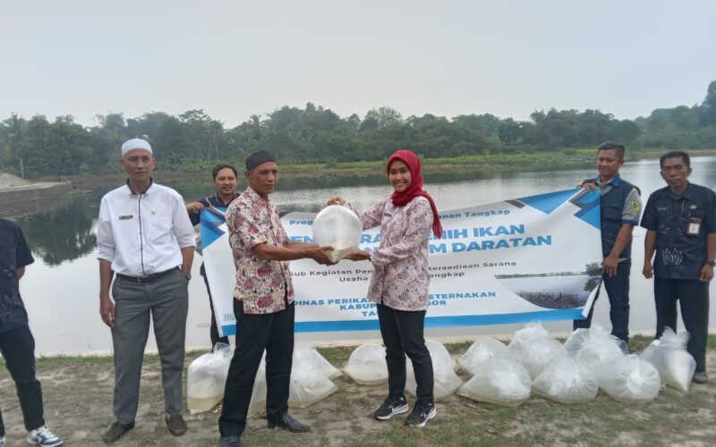 Dinas Perikanan Kabupaten Bogor Tebar Ribuan Bibit Ikan Tawes di Situ Cigorongsong