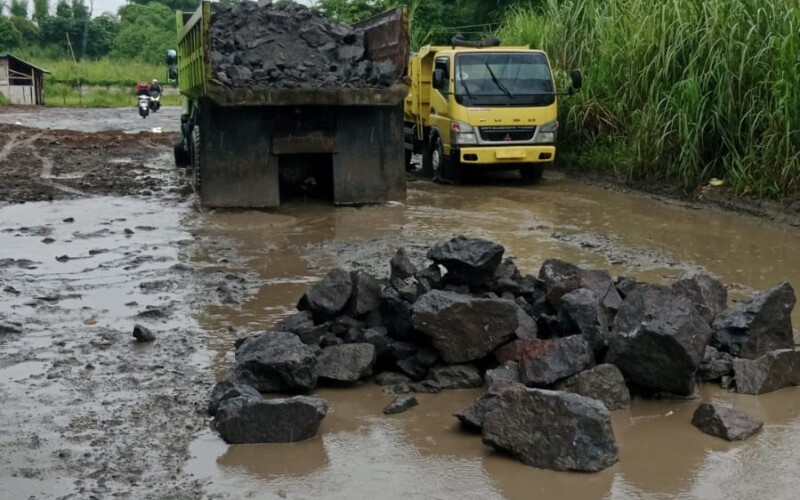 Gegara Truk Tambang Tak Bisa Lewat, Jalan yang Ditanami Pohon Pisang di Gunung Sindur Mendadak Diperbaiki