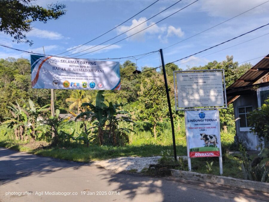 KUNAK KPS BOGOR Produksi Susu Perah berpotensi untuk mendorong Program Nasional MBG