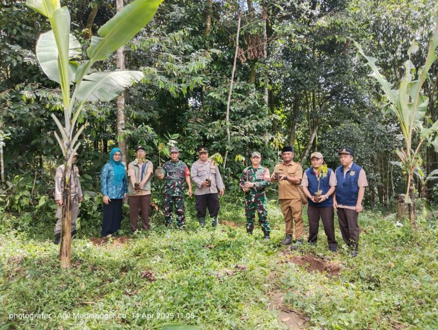 Penanaman Bibit Durian Sebagai Pemicu Lokasi Agro Wisata Durian Cakadut