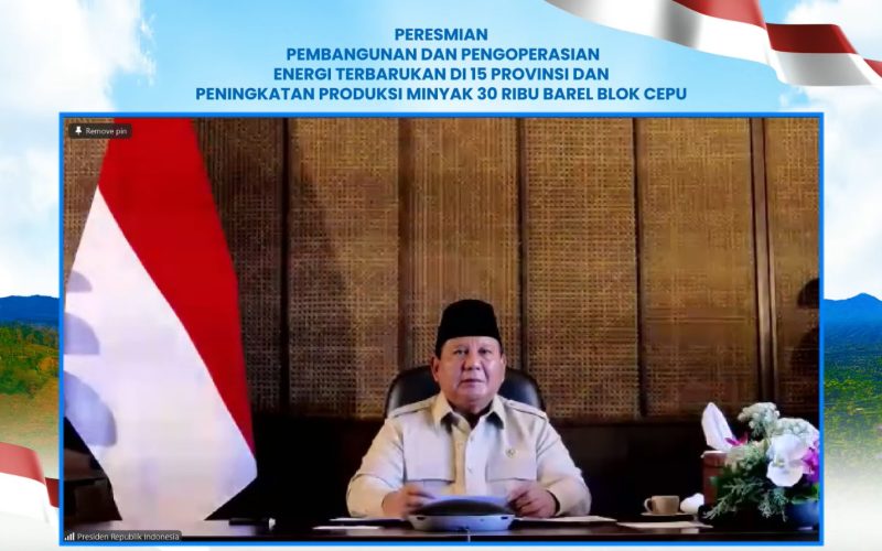 47 PLTS Diresmikan Presiden, 5.383 Rumah Tangga di Wilayah 3T Kini Nikmati Listrik Bersih