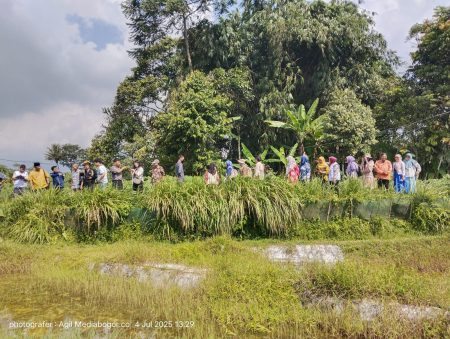 IPB University Bersama KOICA datang ke Desa Cibitung Wetan Ini Tujuannya