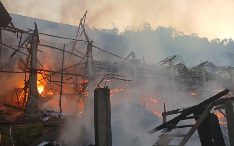 Ratusan Ayam Mati Terpanggang Gegara Peternakan di Cigudeg Kebakaran