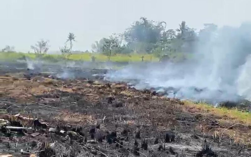 Oknum Masyarakat Diduga Bakar Lahan Seluas 400 Meter di Cariu