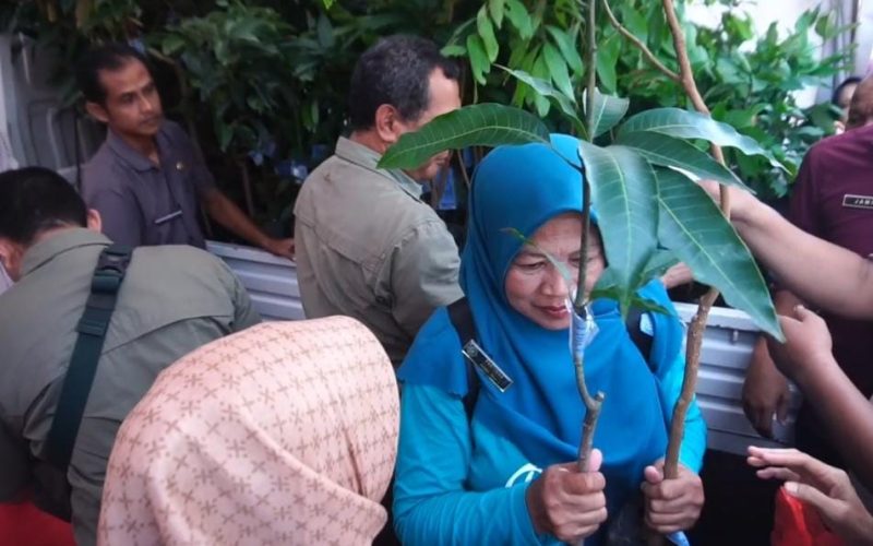 Bibit Buah Gratis Jadi Rebutan di Kecamatan Expo Cileungsi, Warga Antre di Bawah Terik Matahari