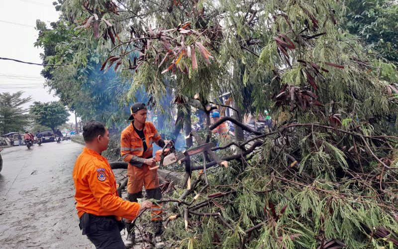 Kota Bogor Catat 62 Kejadian Bencana dalam Dua Hari, BPBD Himbau Masyarakat Tetap Waspada.