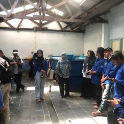 Program PMM Faperta Djuanda Bogor Sukses Berikan Pendampingan Budidaya Udang Galah di Tenjolaya Sukabumi