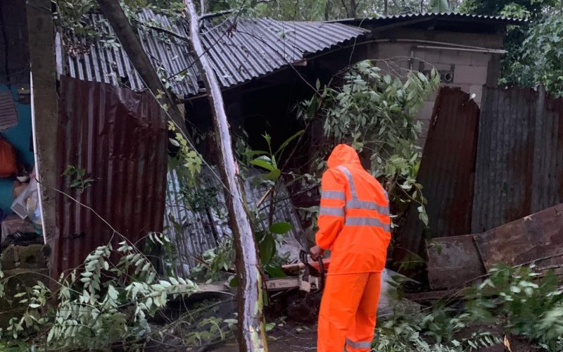 Dihantam Angin Kencang, Pohon Tumbang Timpa 1 Rumah di Cibinong