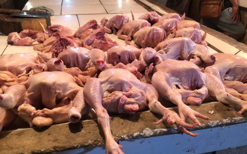 Harga Ayam Potong Capai Rp40 Ribu Sekilo, Disdagin Kabupaten Bogor Sebut Gegara Pakan yang Naik