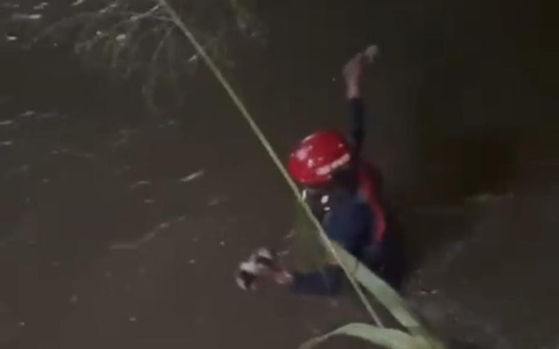Bak Super Hero, Damkar Selamatkan Kucing yang Tercebur di Sungai Bojonggede