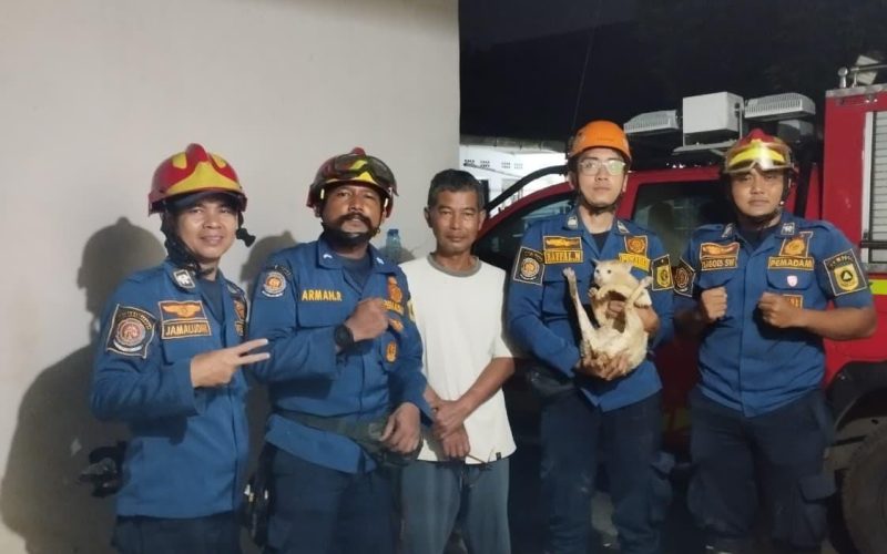 Lagi-lagi, Damkar Tunjukkan Aksi Heroik Saat Selamatkan Kucing yang Tercebur di Sumur Dramaga