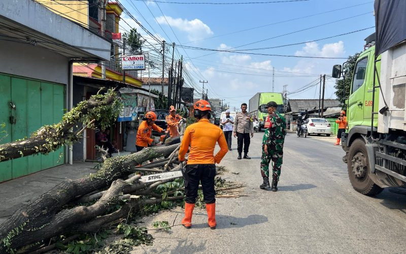 Warung di Gunung Putri Rusak Tertimpa Pohon yang Tumbang Usai Tertabrak Kontainer