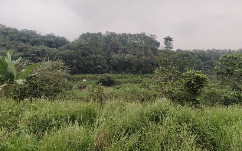 Warga Pribumi Bangun Jalan Swadaya Lintas Daerah Sepanjang 6,5 KM, Mulyaharja, Cijeruk dan Cigombong