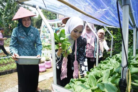 Ikhtiar TP PKK Kota Bogor Bangun Kesehatan Mental