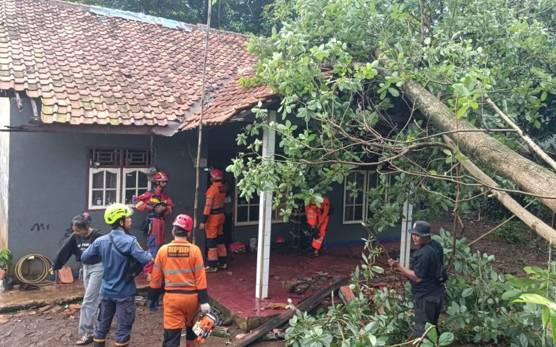 Hujan Deras Guyur Kota Bogor, Rumah di Mekarwangi Tertimpa Pohon Tumbang