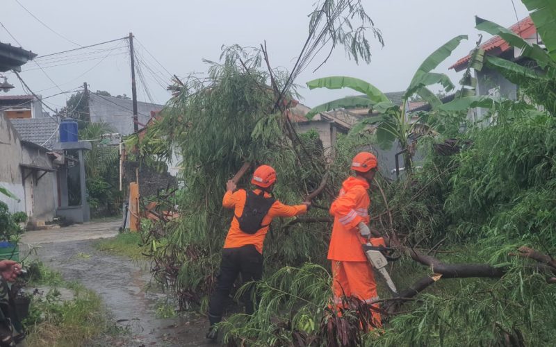 50 Bencana Alam Terjang Kabupaten Bogor Selama 3 Hari Beruntun, Angin Kencang Mendominasi