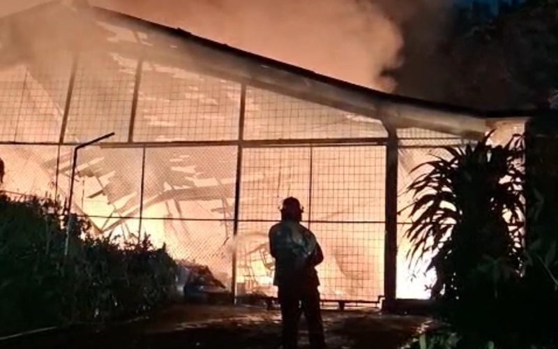 Kebakaran Gudang Sebabkan 100 Unit Golf Car di Cibinong Terbakar