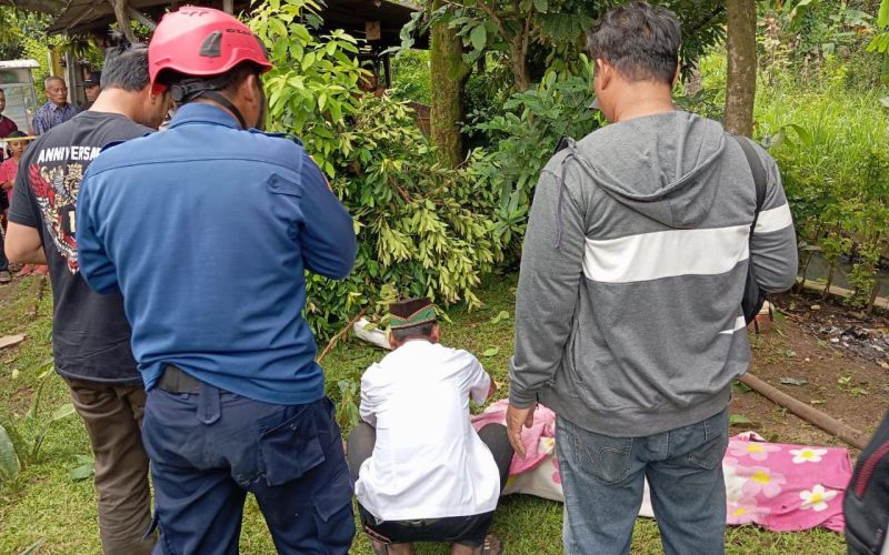Pria di Bojonggede Tewas Tersengat Listrik Saat Sedang Tebang Pohon Salam