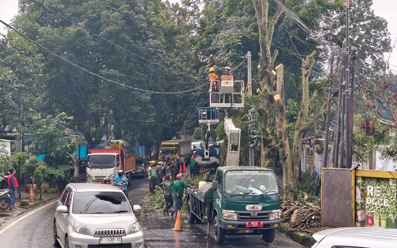 Trase Baru Saleh Danasasmita Dipersiapkan, Lima Pohon di Lawanggintung Dipangkas