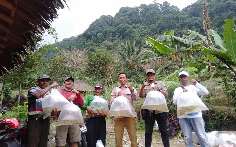 Sebanyak 4000 Ekor Ikan Ditebar di Hulu Sungai Cipurabakti, Ini Tujannya