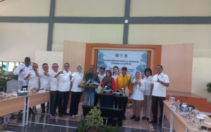 Komisi IV DPR RI Minta Menhut Tambah SDM Kehutanan, Ini Alasannya