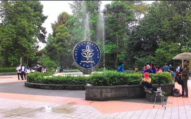 IPB University Komitmen Pendampingan Psikologis Korban Pelecehan Mahasiswa via Grup Chat