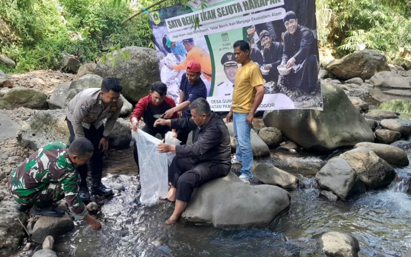Pemerintahan Desa Gunung Picung Jaga Ekosistem Alam dengan Tebar ikan di Sungai Cigamea