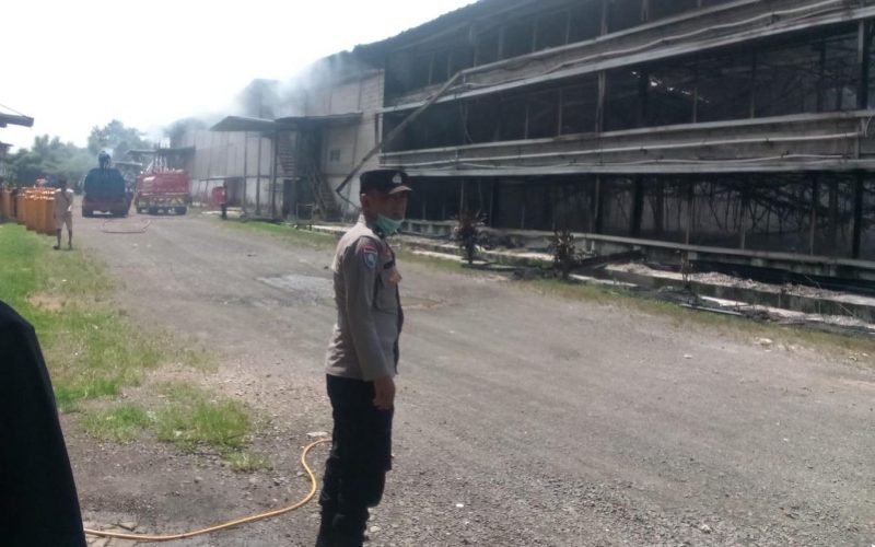 Kandang Ayam Broiler Tiga Lantai di Ciseeng Terbakar, 150 Ribu Ekor Mati Terpanggang