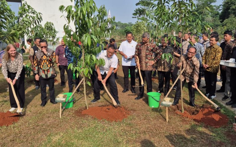 Kementerian Lingkungan Hidup Gandeng GIZ untuk Menghijaukan Indonesia