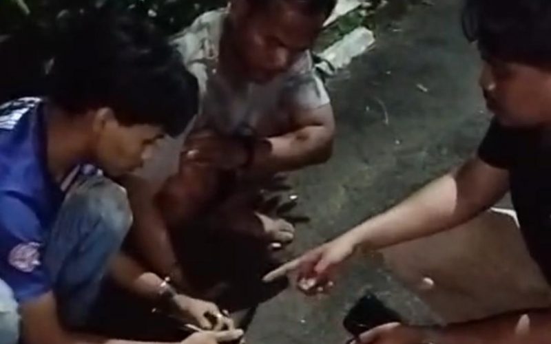 2 Perkara Peredaran Narkoba di Dramaga Dibongkar Polisi, 3 Orang Ditangkap