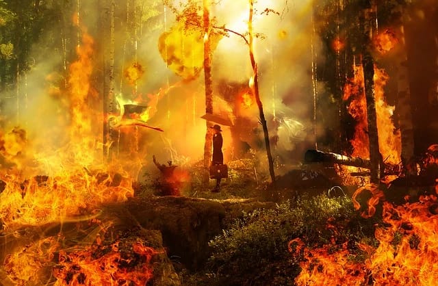 Kemarau Datang, Damkar Kota Bogor Serukan Stop Bakar Sampah dan Buang Puntung Rokok Sembarangan