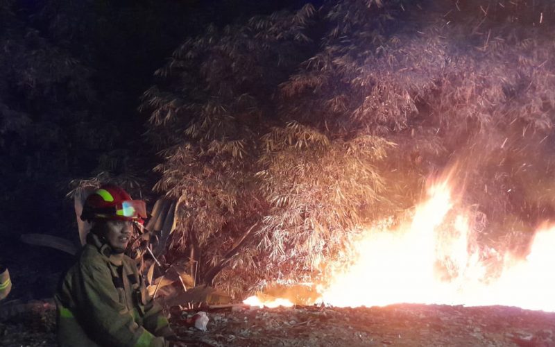 Musim Kemarau Picu Puluhan Kebakaran di Bogor, Damkar Minta Warga Lebih Waspada