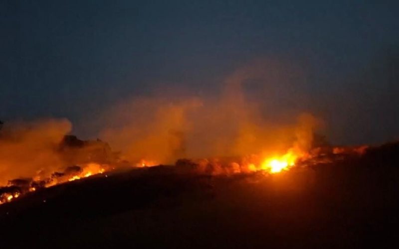 Api Melahap Lahap Lahan Alang-Alang di Gunung Wangung, Petugas Berhasil Cegah Perluasan