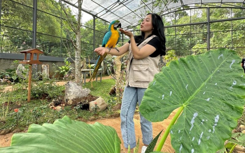 September Ceria di Rivera Bogor, Beli 1 Tiket Terusan Gratis 1 Tiket HTM