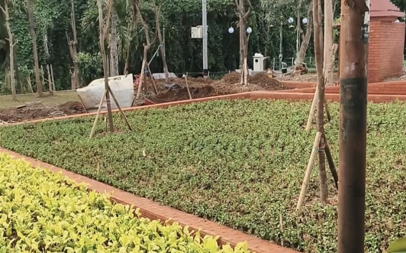 Tanaman Besar Dihindari, Begini Konsep Penghijauan Batutulis